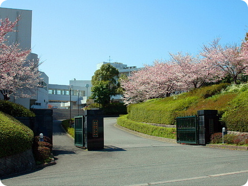 東明館高等学校