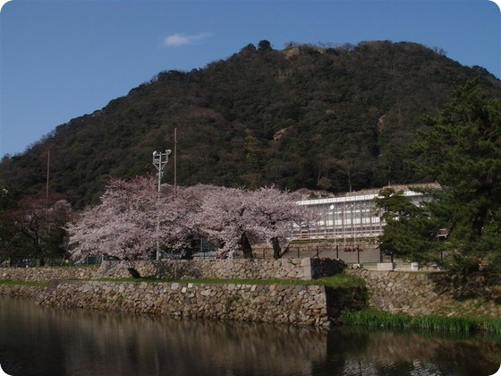 鳥取西高等学校